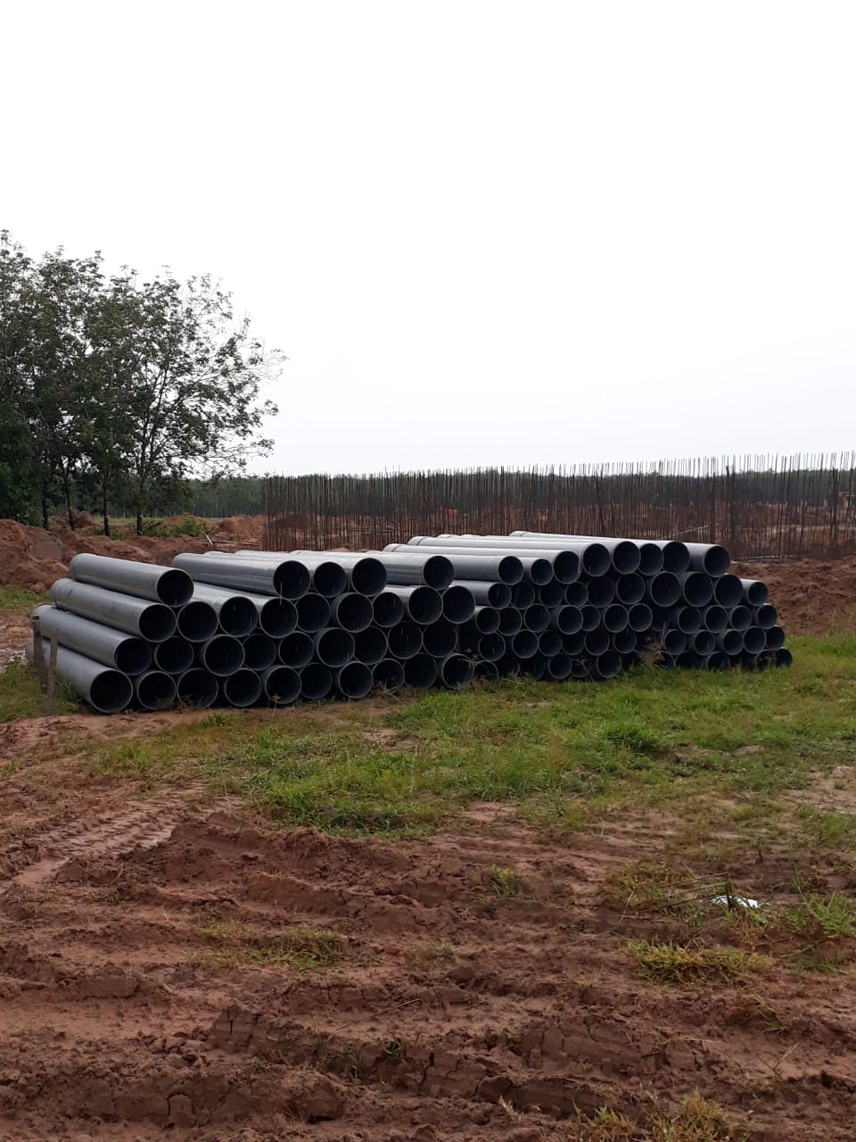 z3700208796135_ac82303ab03a03d2d6eeecdb01f012f6