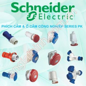 Phích cắm & Ổ cắm công nghiệp Series PK Schneider