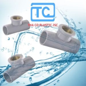 Tê răng trong thau Thành Công