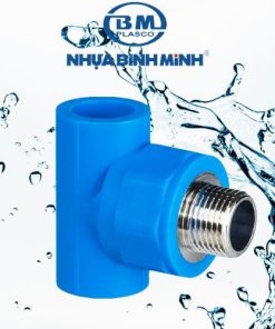 Tê ren ngoài PPR Bình Minh