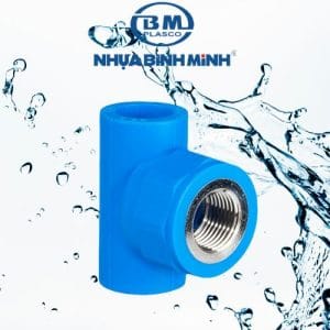 Tê ren trong PPR Bình Minh