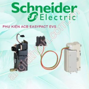 Phụ kiện ACB EasyPact EVS Schneider