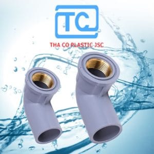 Co răng trong thau Thành Công