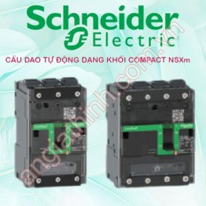 Cầu dao tự động dạng khối Compact NSXm Schneider