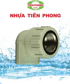 Co ren trong PPR Tiền Phong