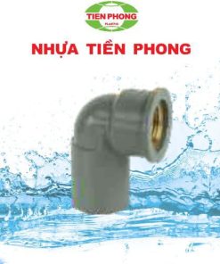 Co ren trong thau Tiền Phong
