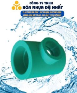 Tê giảm PPR Đệ Nhất