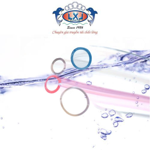 250213-ong-trang-deo-lxl-1