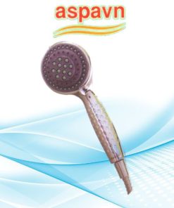 Vòi sen tắm SA802 Aspavn