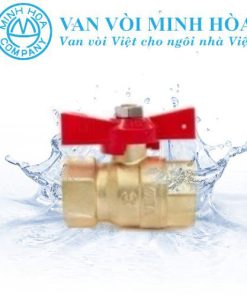 Van bi đồng tay bướm Minh Hòa