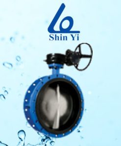 Van bướm trục đối xứng Shinyi