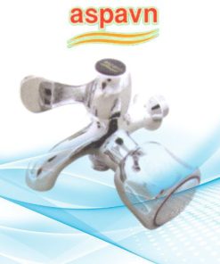 Vòi củ sen C4U1 Aspavn