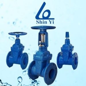 Van cổng lá van bọc cao su Shinyi