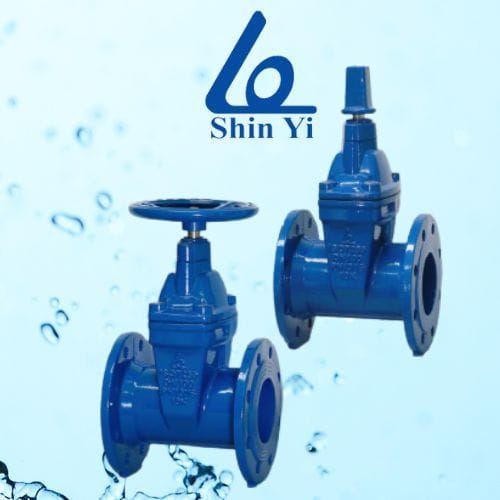 250221-van-cong-shinyi-1-2