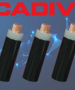 Đại lý cáp Cadivi CXV
