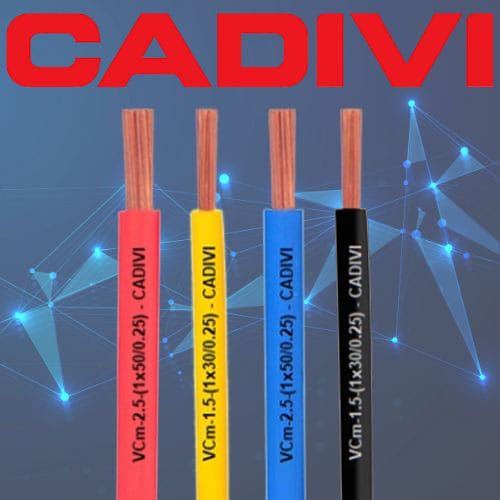 250311-day-vcm-cadivi