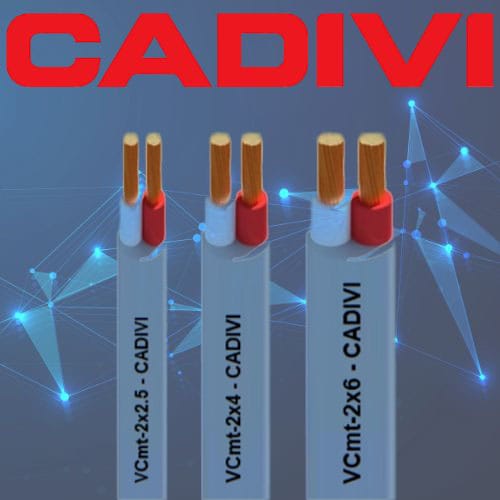 250311-day-vcmt-cadivi