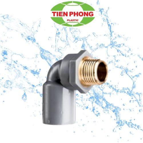 Co ren ngoài thau Tiền Phong