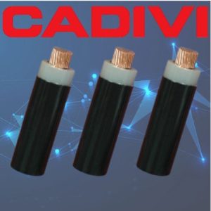 Cáp điện Cadivi CVV