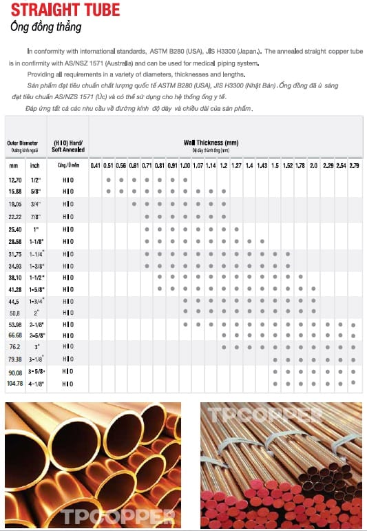 250414-tskt-ong-dong-thang-11