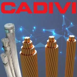 Đại lý phân phối dây nhôm và dây đồng trần CADIVI