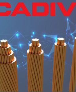 Dây đồng trần xoắn C Cadivi