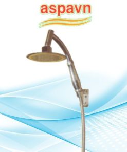 Vòi sen tắm SA903 Aspavn
