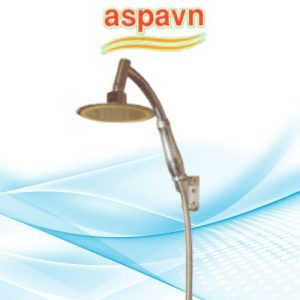 Vòi sen tắm SA903 Aspavn