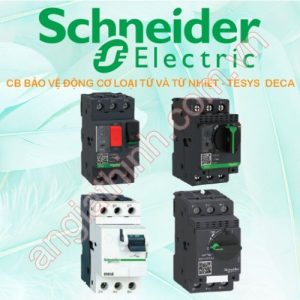 CB bảo vệ động cơ loại từ và từ nhiệt - TeSys Deca Schneider