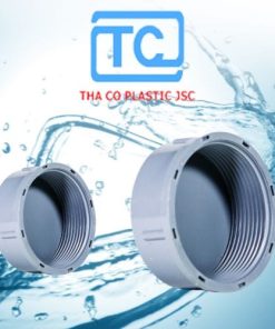 Bít răng trong PVC Thành Công