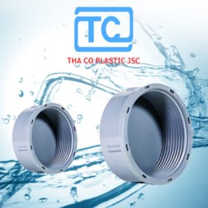 Bít răng trong PVC Thành Công