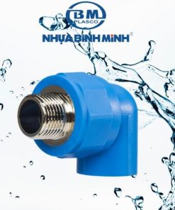 Co ren ngoài PPR Bình Minh