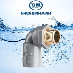 Co ren ngoài thau Bình Minh