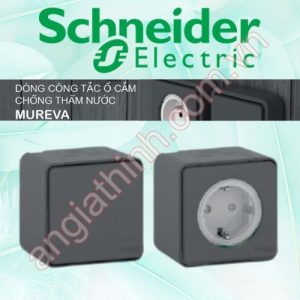 Dòng Moreva Schneider