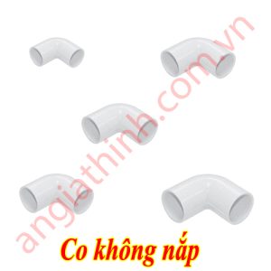 Co không nắp Vega