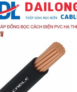 Cáp Đại Long CV